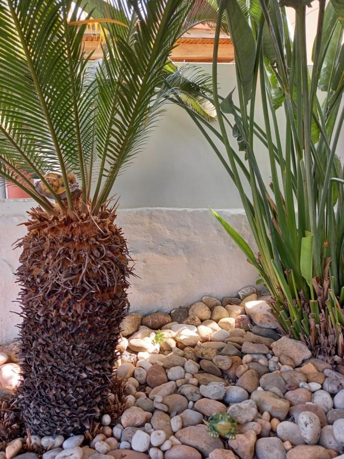 Alexandros Cosy House For Family Vacation Apartment Chania  Luaran gambar