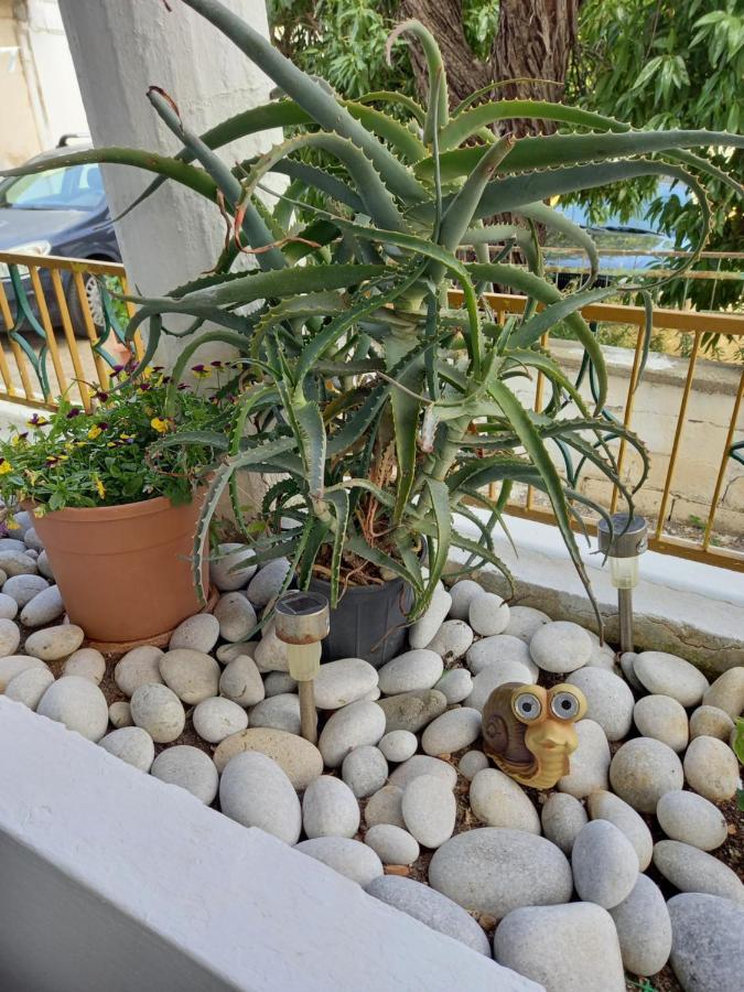 Alexandros Cosy House For Family Vacation Apartment Chania  Luaran gambar